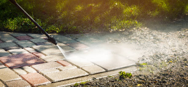 Best Fence Cleaning  in West Crossett, AR